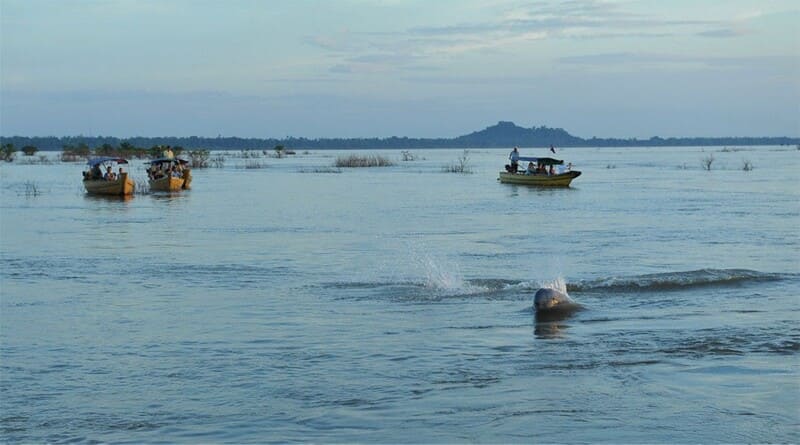 camboya en febrero - kratie