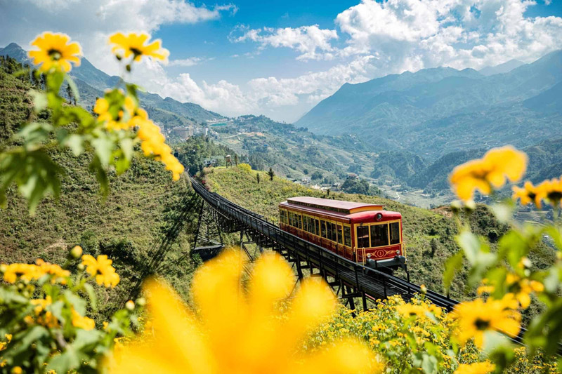 valle muong hoa - tren