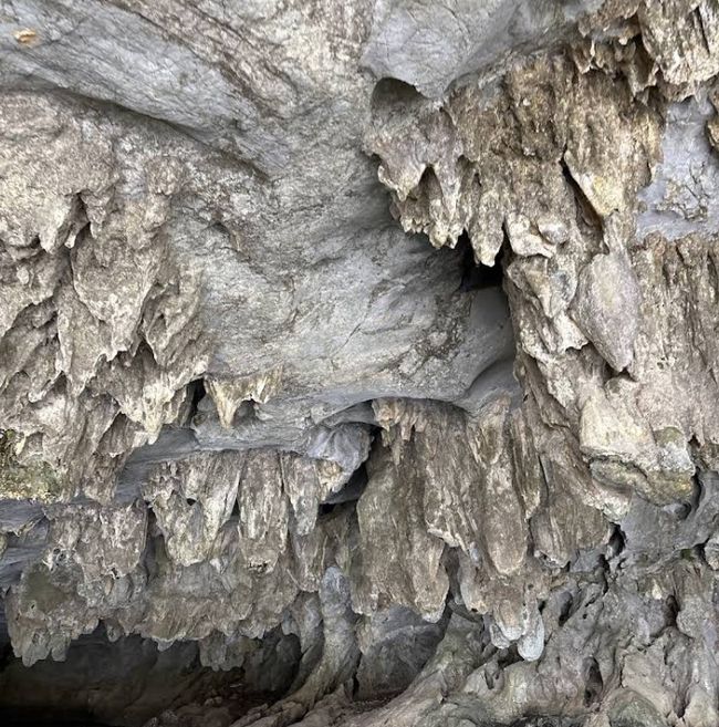 van long - Las estalactitas naturales en las cuevas