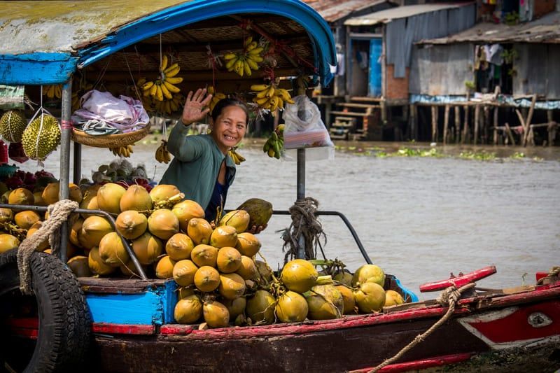 vendedor de coco en ben tre - fruta de vietnam