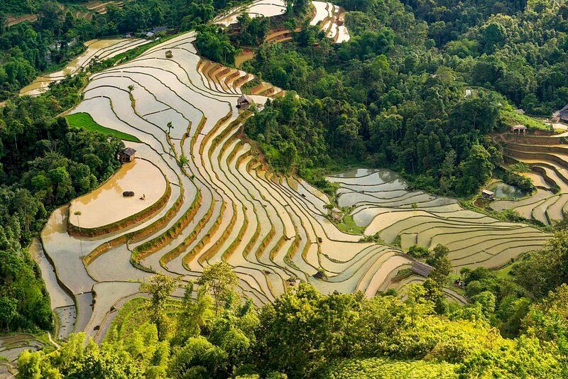 mu cang chai en mayo