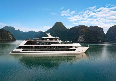 Stellar of the Seas