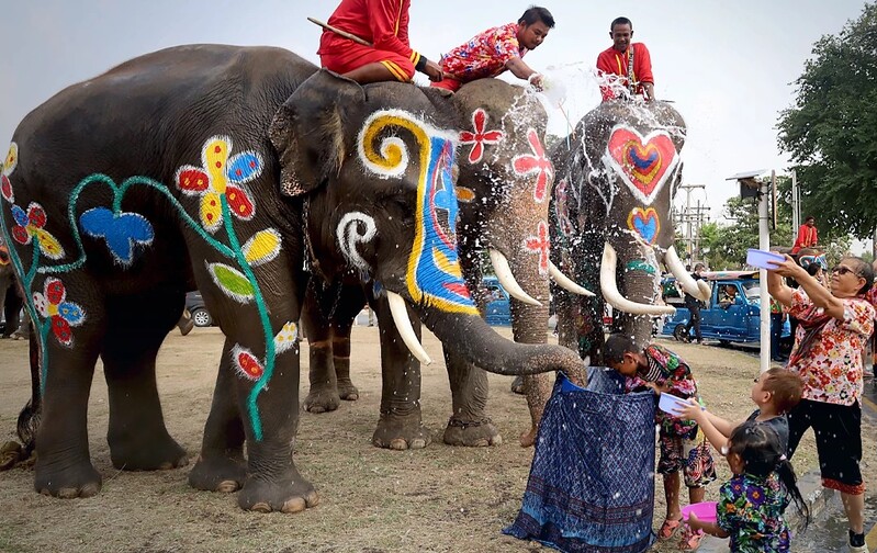 elefante tailandia