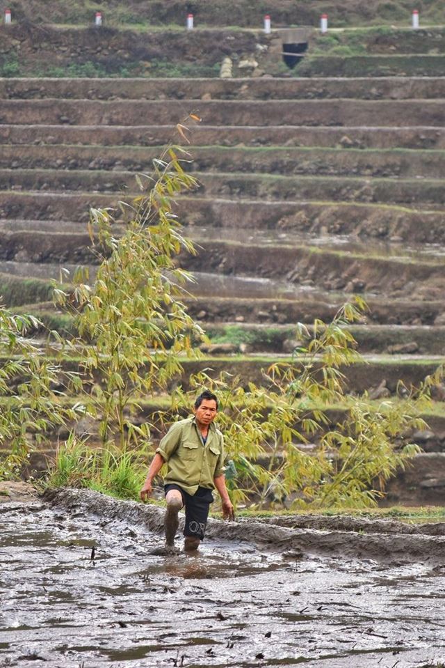 Un local se prepara para la temporada de siembra de arroz
