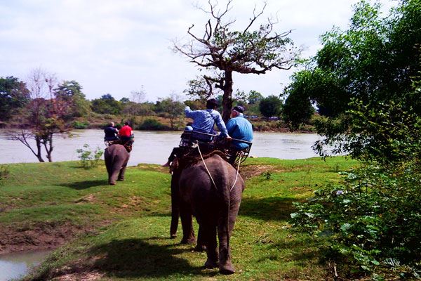 Paseo en elefante