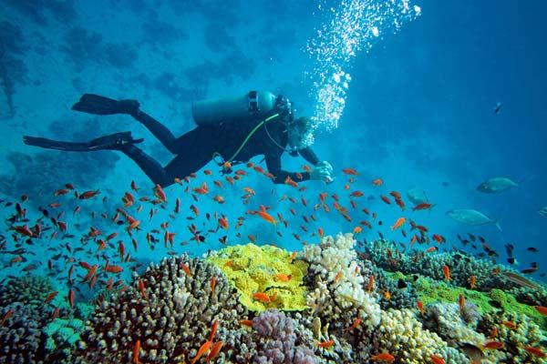 Buceo en Sihanoukville